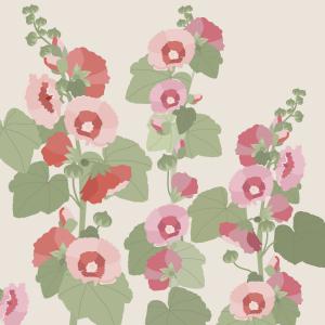 Illustration roses trémières